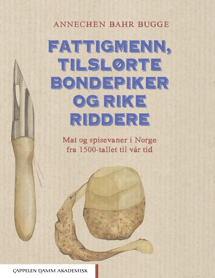 Omslag Fattigmenn, tilslørte bondepiker og rike riddere av Annechen Bahr Bugge (Innbundet)