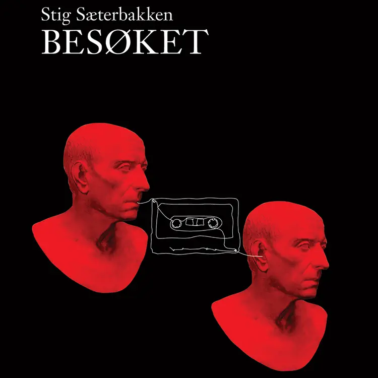 Omslag Besøket av Stig Sæterbakken (Lydbok)