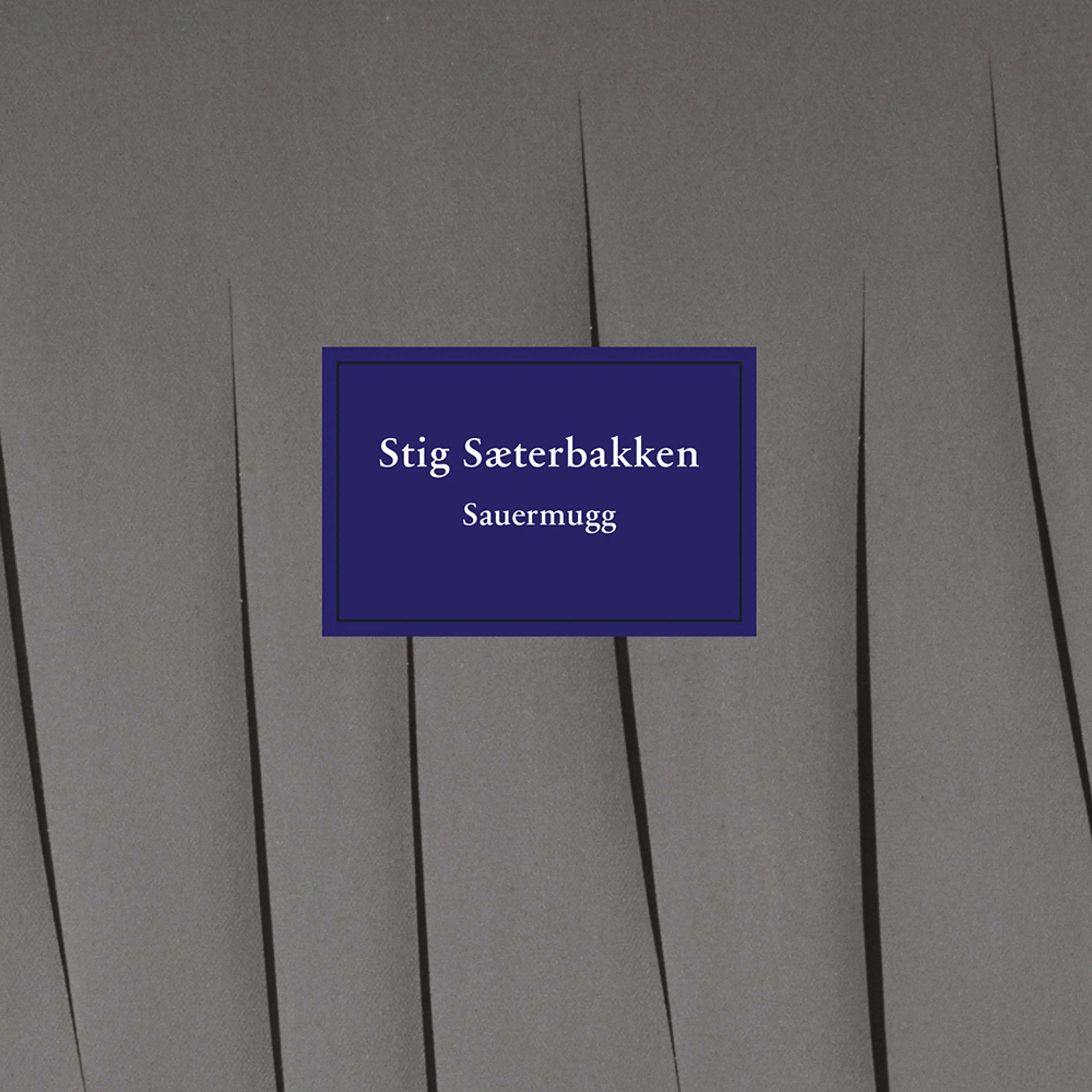 Omslag Sauermugg av Stig Sæterbakken (Lydbok)