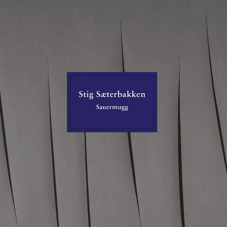 Omslag Sauermugg av Stig Sæterbakken (Lydbok)