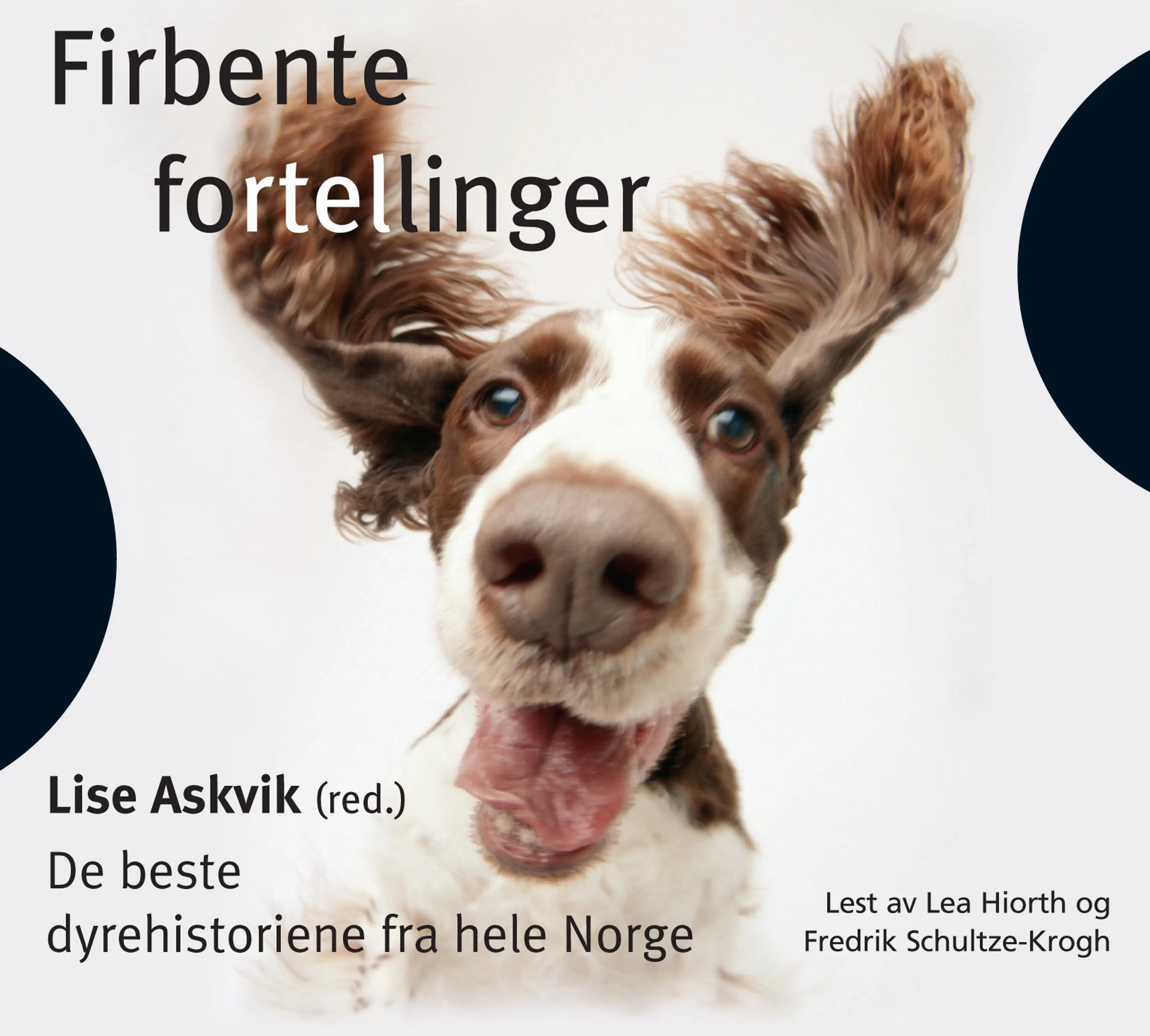 Omslag Firbente fortellinger av Lise Askvik (Lydbok)