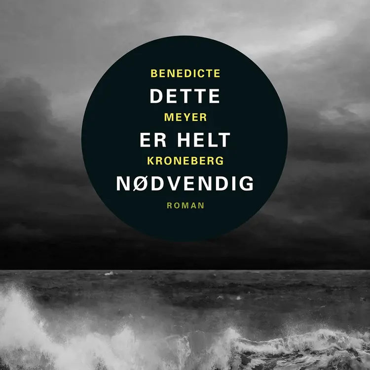 Omslag Dette er helt nødvendig av Benedicte Meyer Kroneberg (Lydbok)