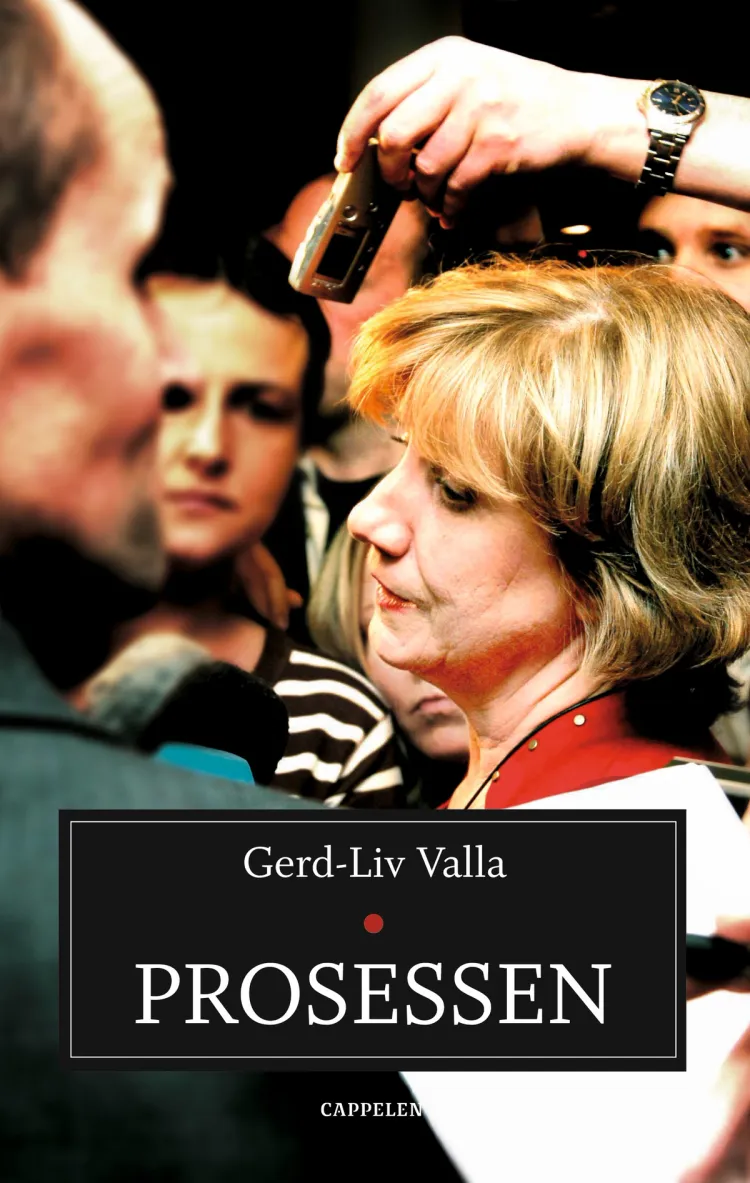 Omslag Prosessen av Gerd-Liv Valla (Innbundet)