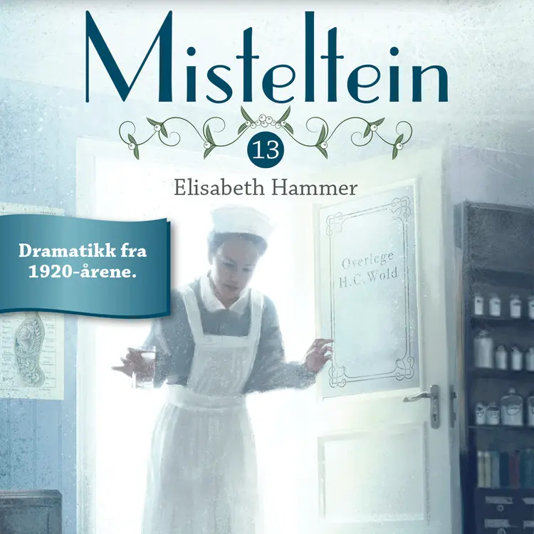 Omslag Hemmelig beundrer av Elisabeth Hammer (Lydbok)
