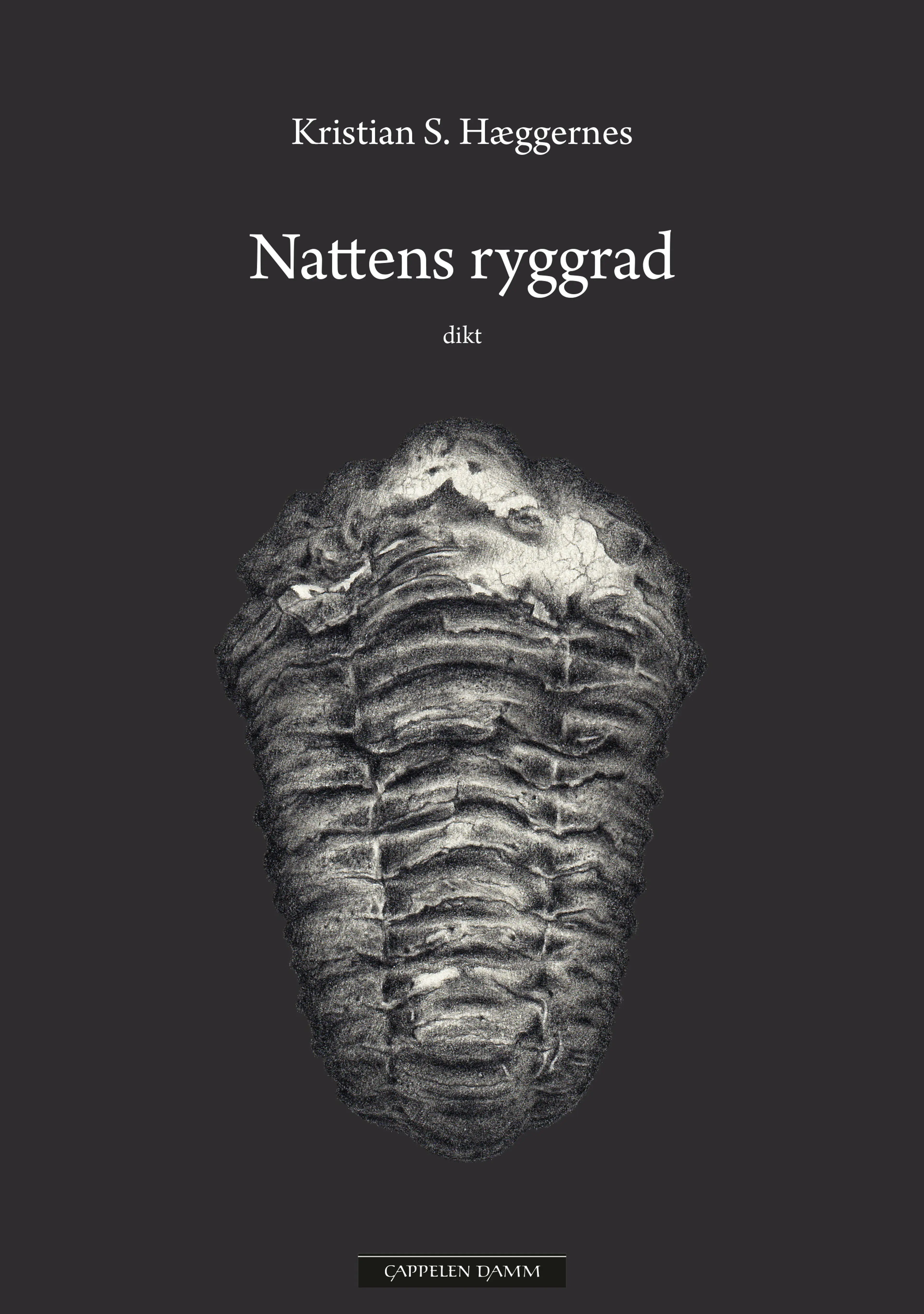 Omslag Nattens ryggrad av Kristian S. Hæggernes (Innbundet)