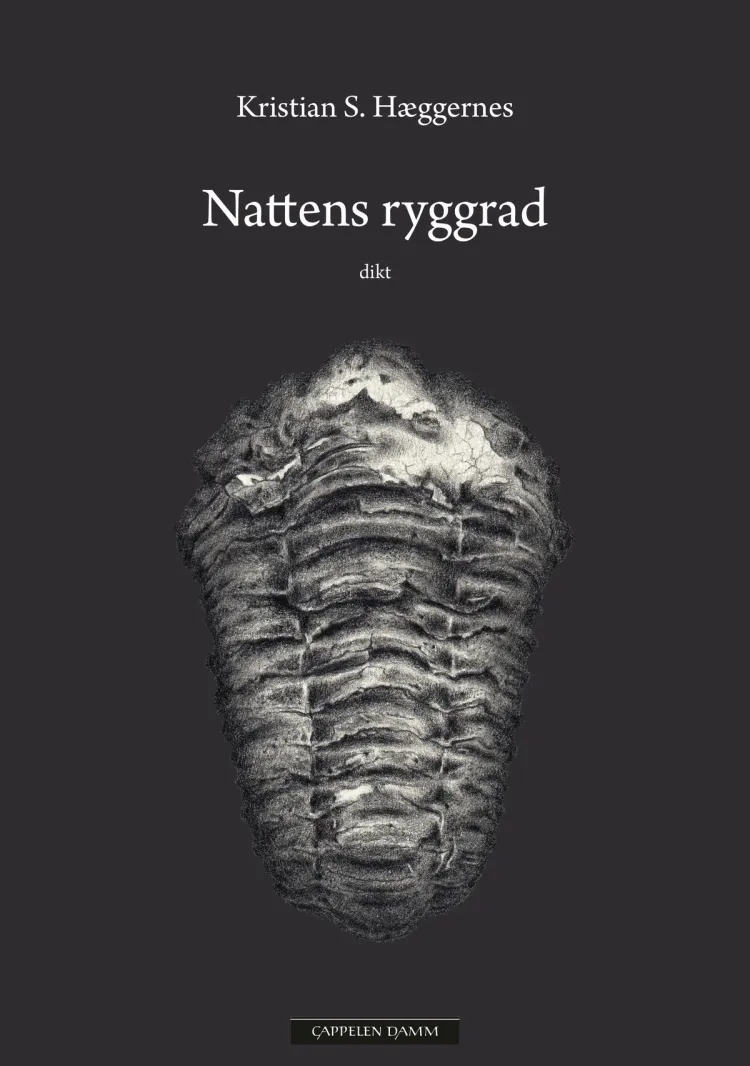 Omslag Nattens ryggrad av Kristian S. Hæggernes (Innbundet)