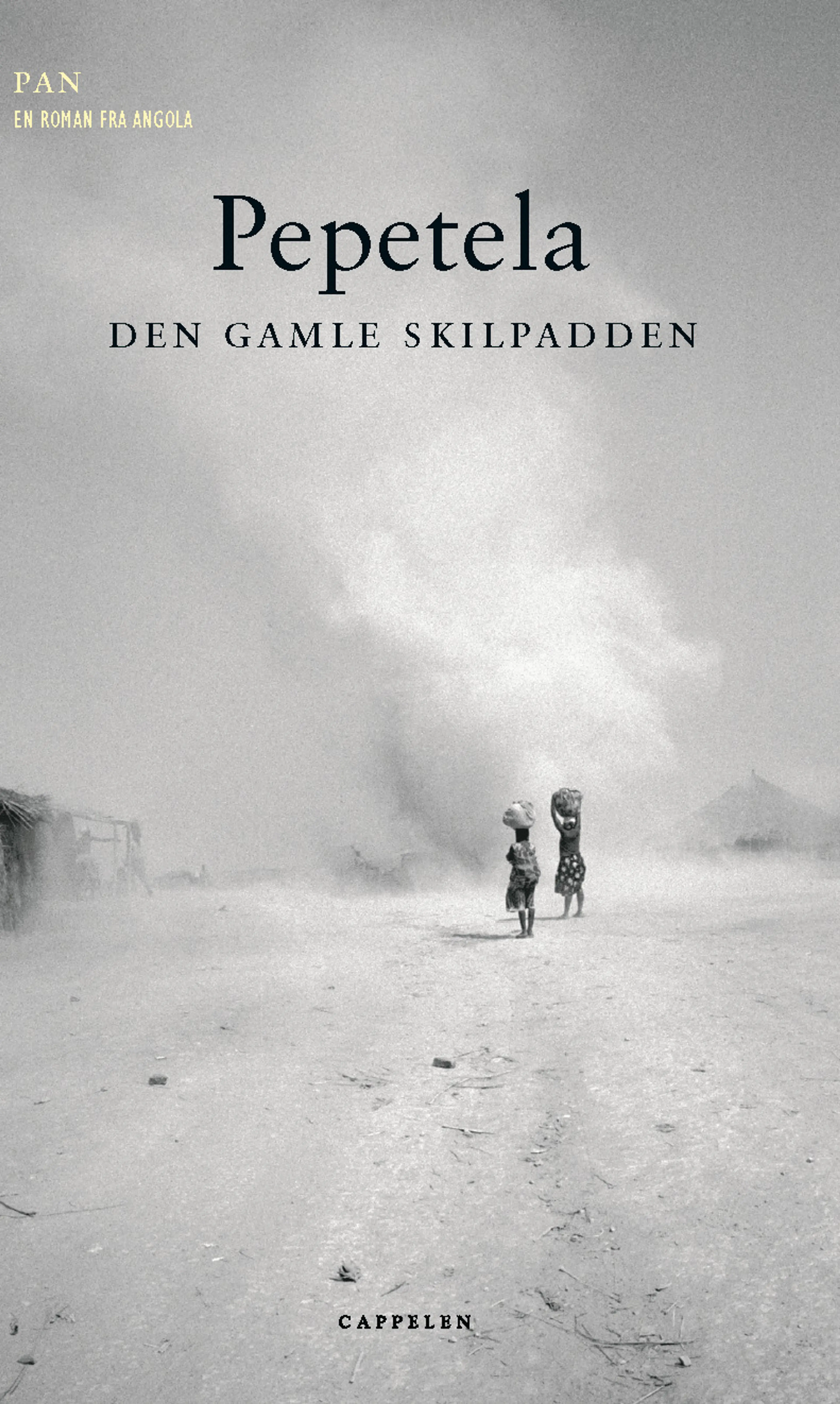 Omslag Den gamle skilpadden av Pepetela (Innbundet)
