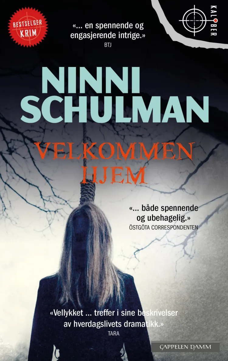 Omslag Velkommen hjem av Ninni Schulman (Heftet)