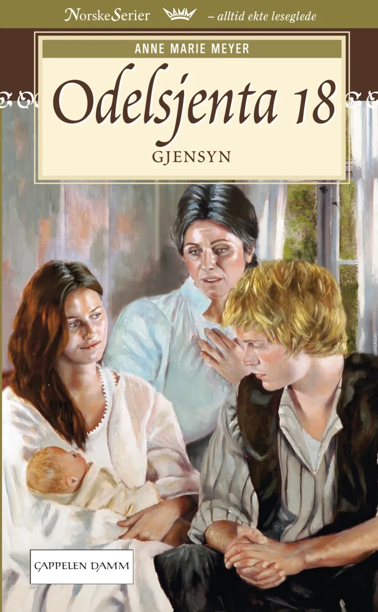 Omslag Gjensyn av Anne Marie Løvlie Meyer (Ebok)