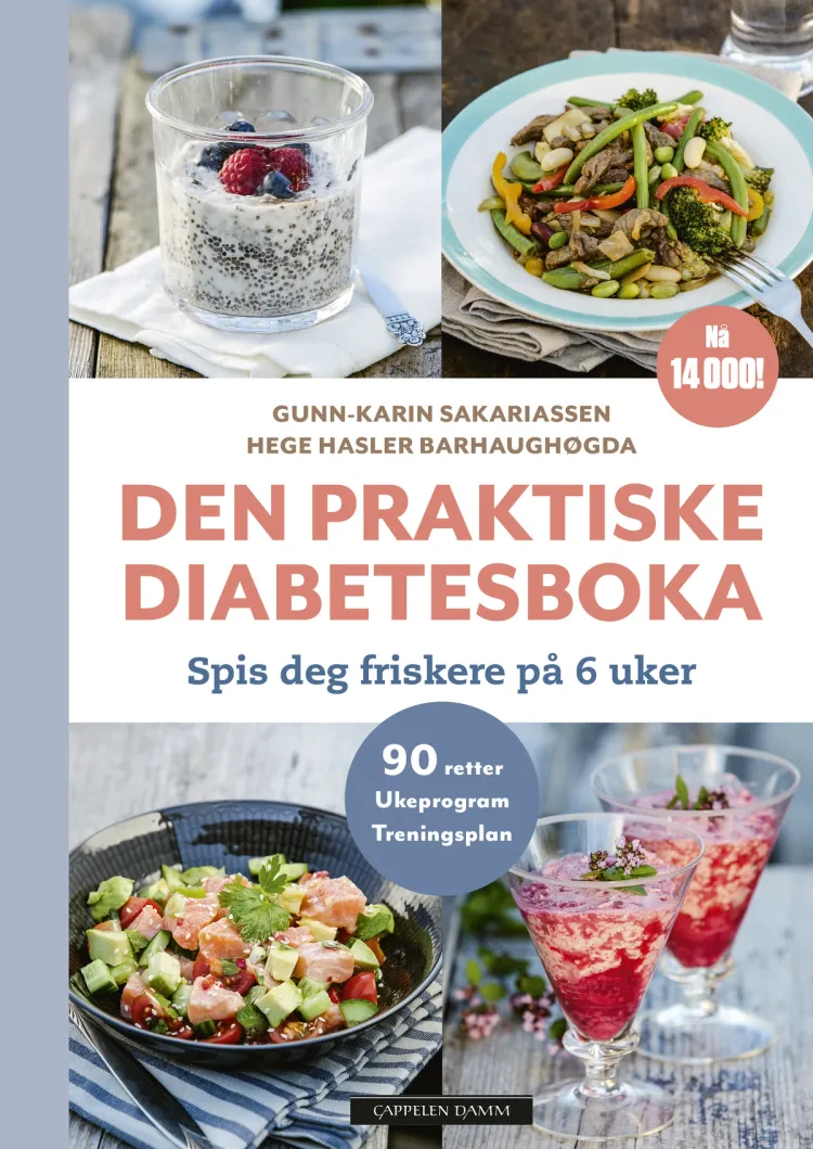 Omslag Den praktiske diabetesboka av Gunn-Karin Sakariassen og Hege Hasler Barhaughøgda (Innbundet)