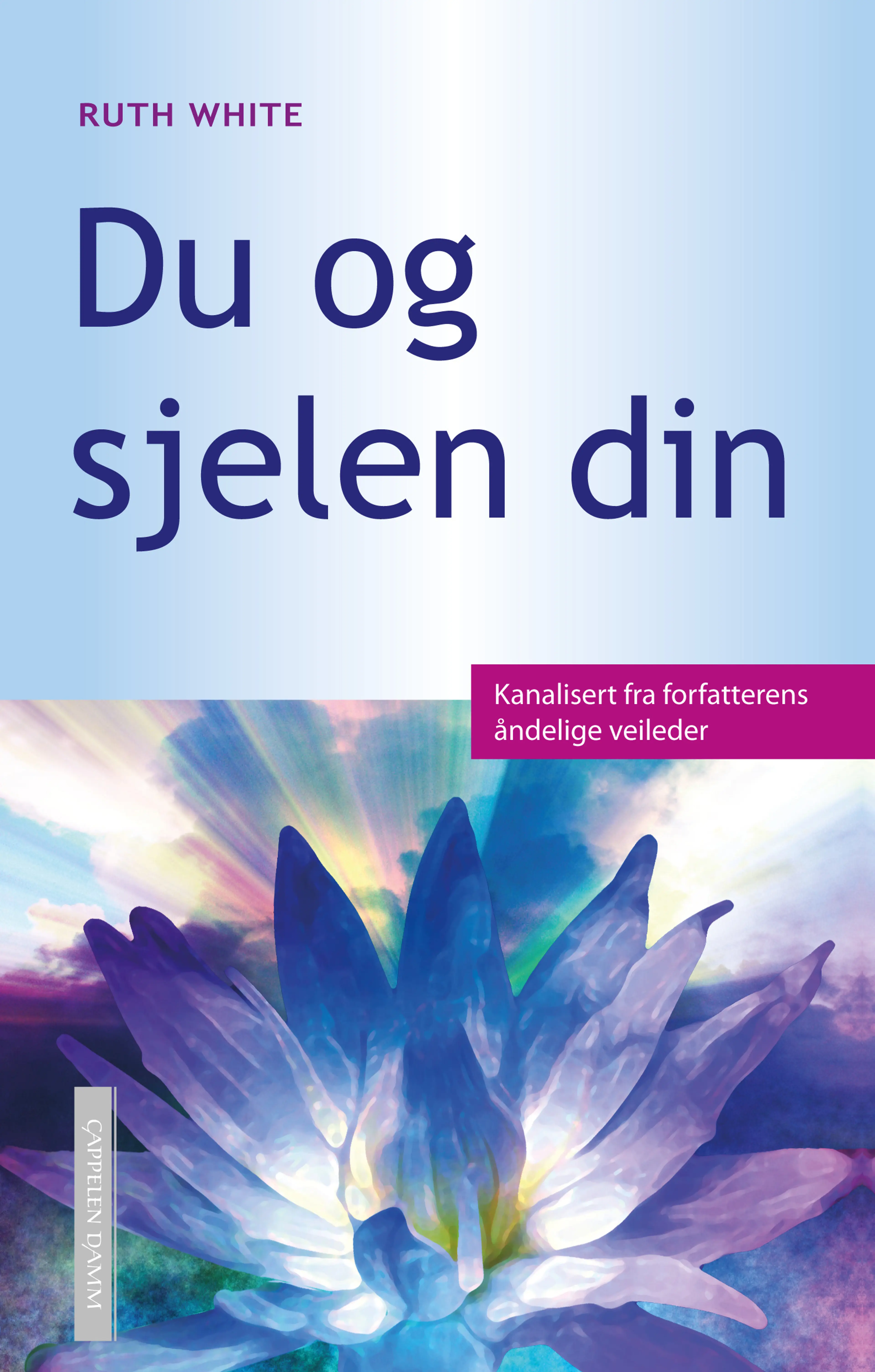 Omslag Du og sjelen din av Ruth White (Innbundet)