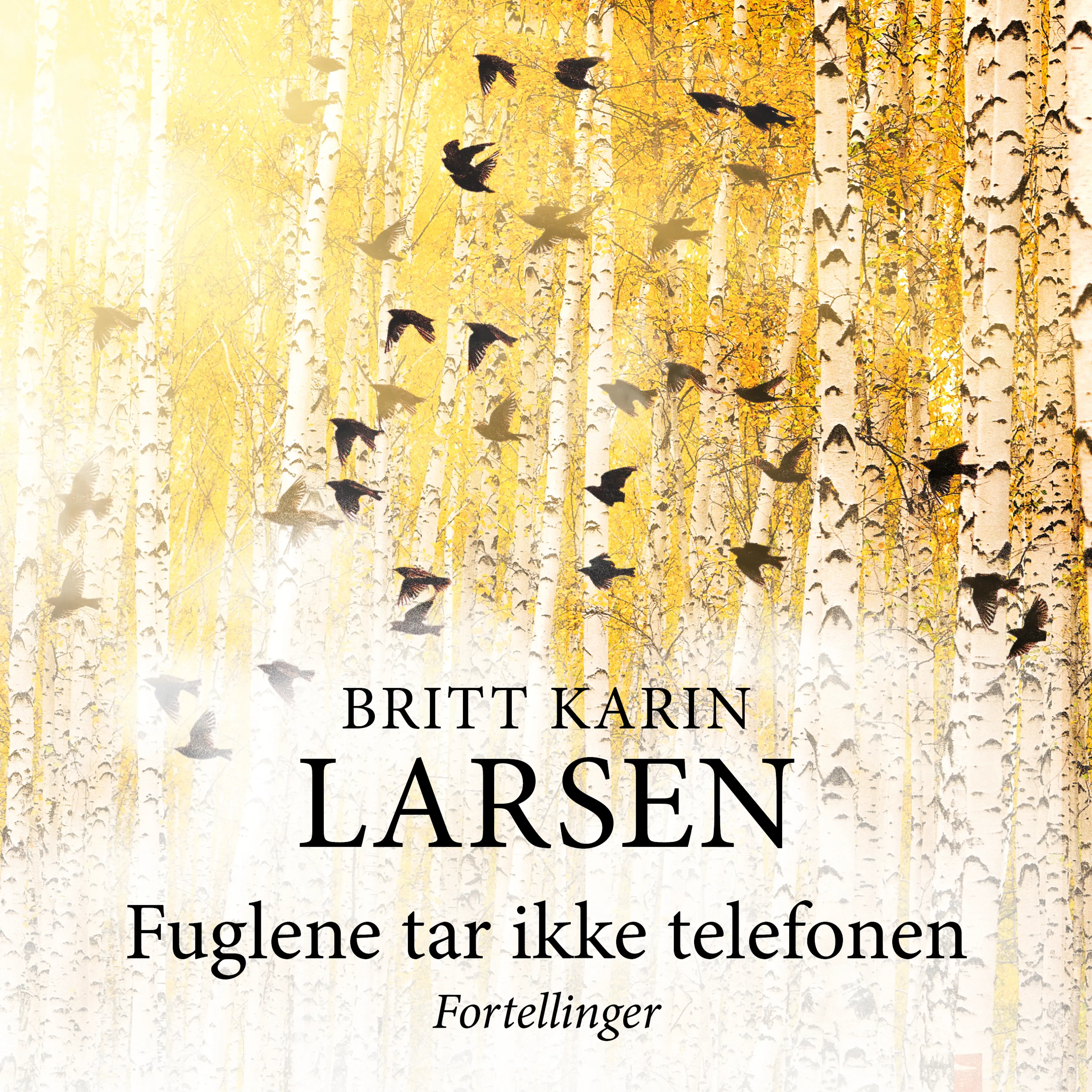 Omslag Fuglene tar ikke telefonen av Britt Karin Larsen (Lydbok)