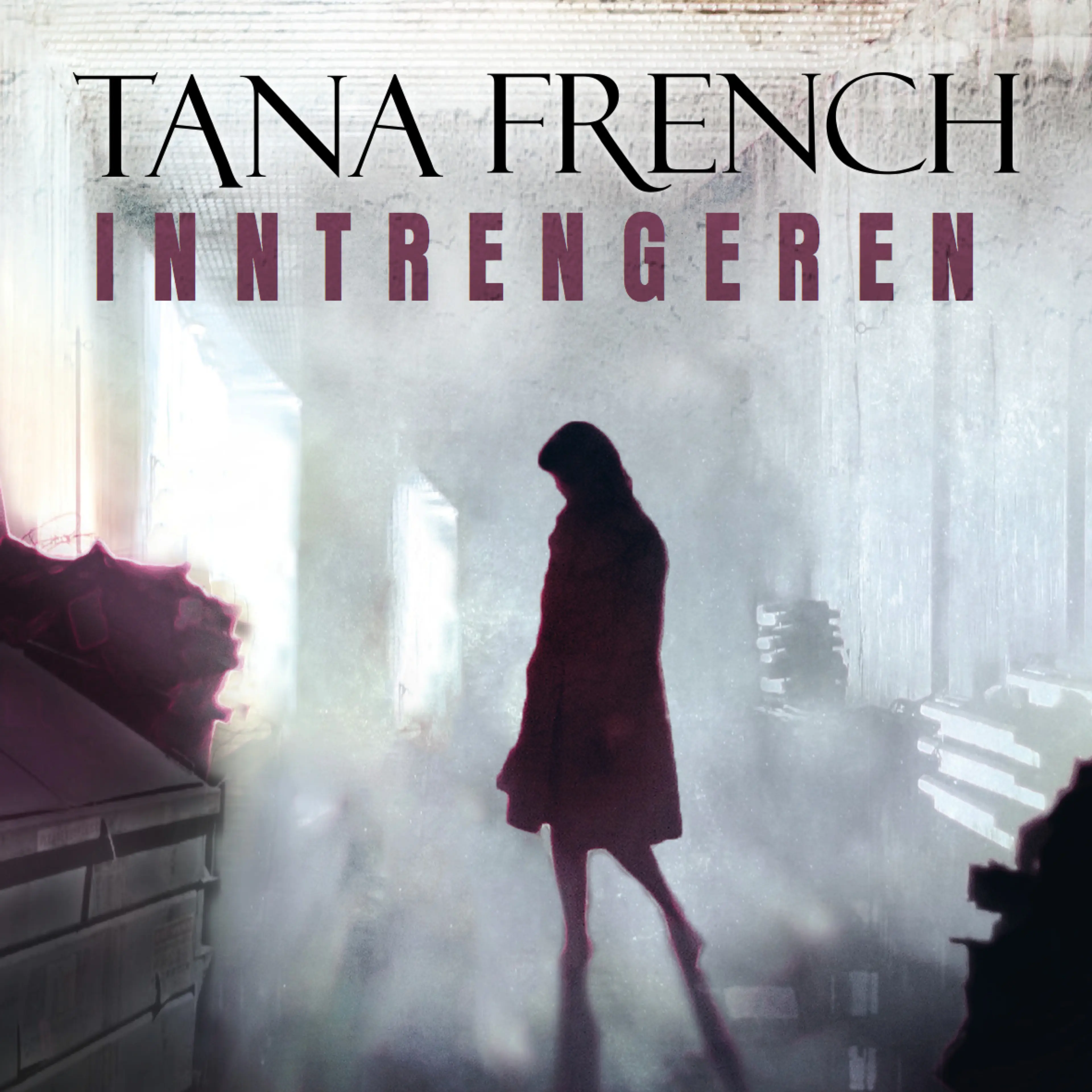 Omslag Inntrengeren av Tana French (Lydbok)
