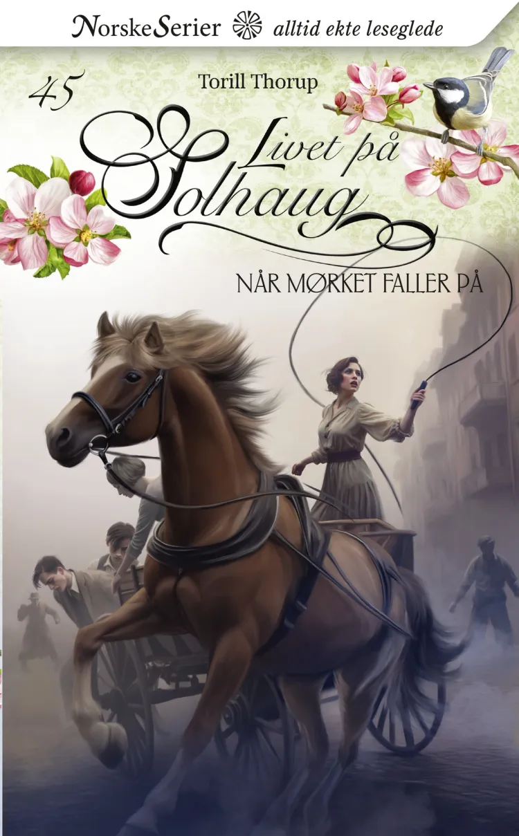 Omslag Når mørket faller på av Torill Thorup (Ebok)