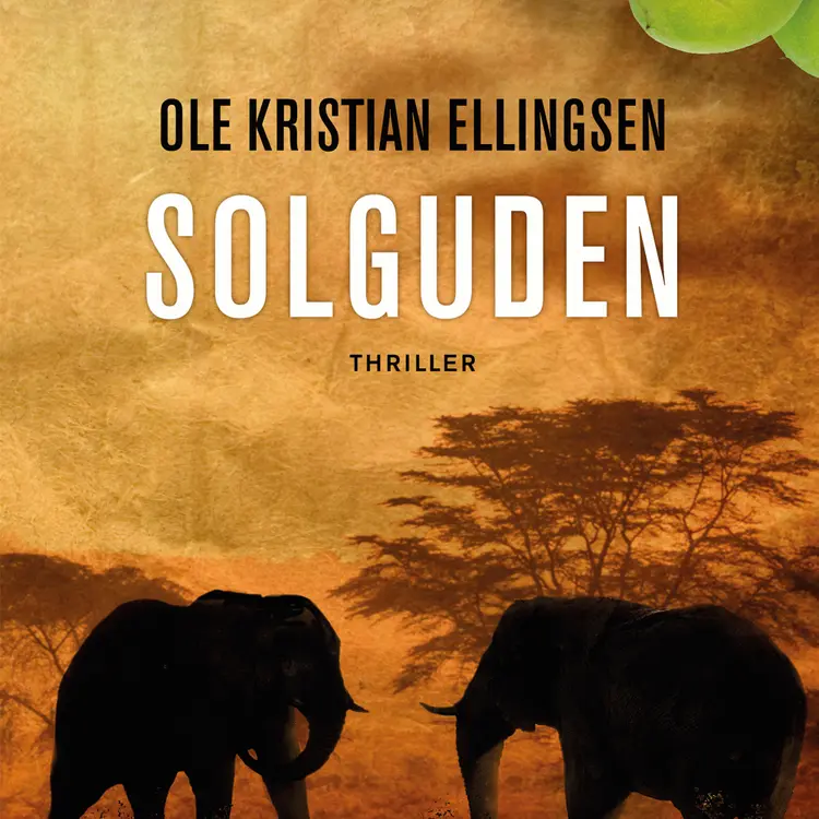 Omslag Solguden av Ole Kristian Ellingsen (Lydbok)