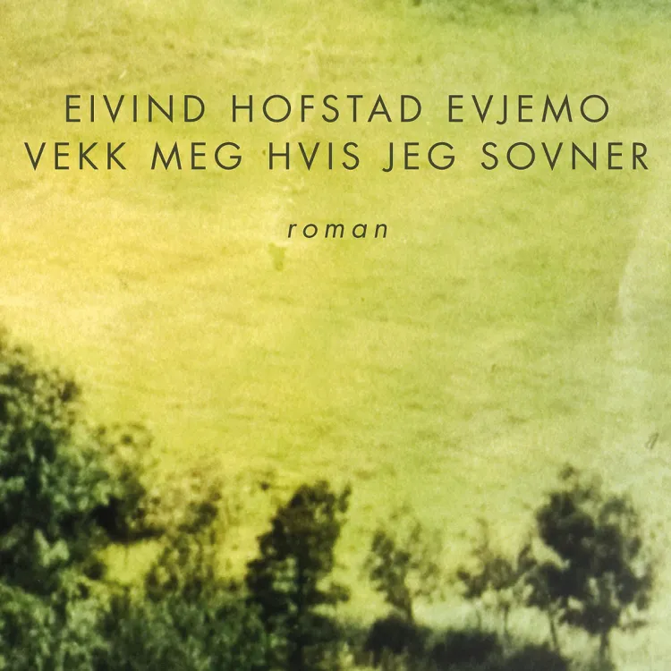 Omslag Vekk meg hvis jeg sovner av Eivind Hofstad Evjemo (Lydbok)