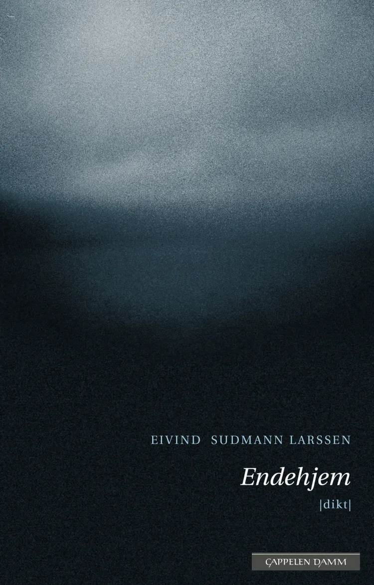Omslag Endehjem av Eivind Sudmann Larssen (Ebok)