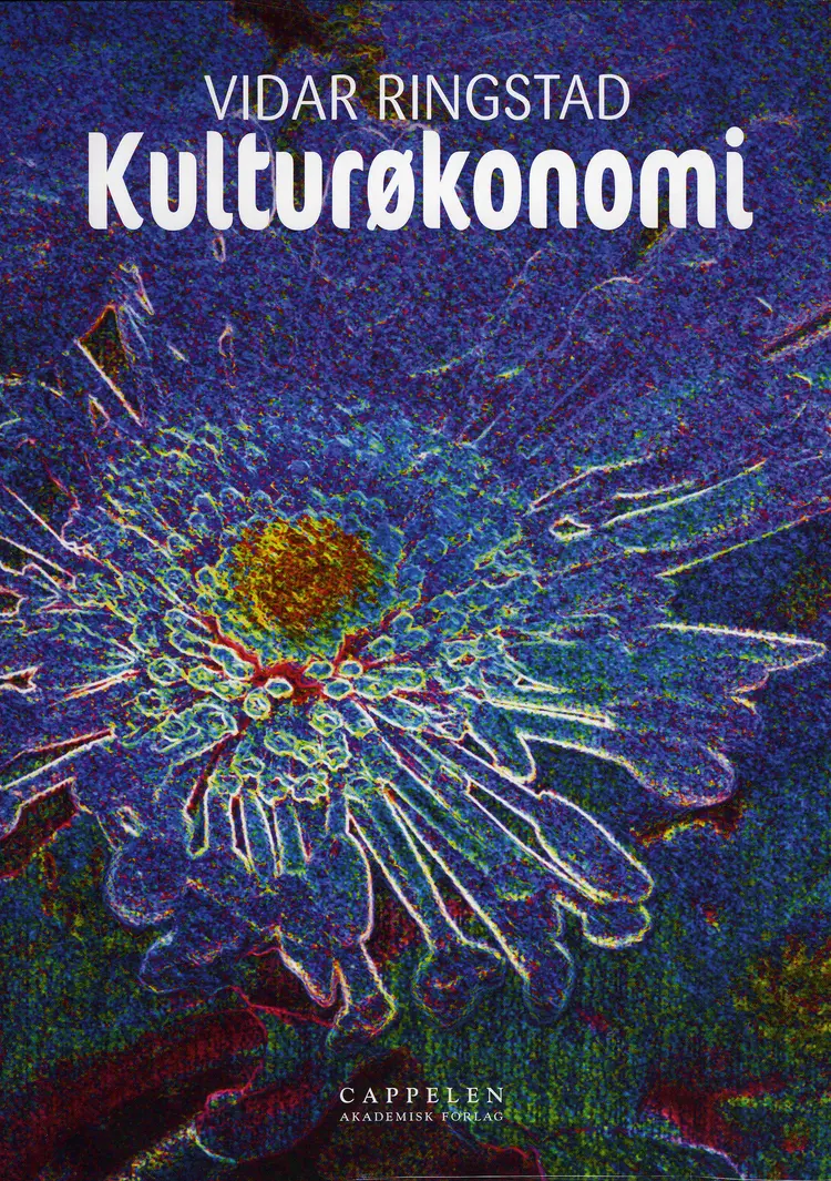 Omslag Kulturøkonomi av Vidar Ringstad (Heftet)