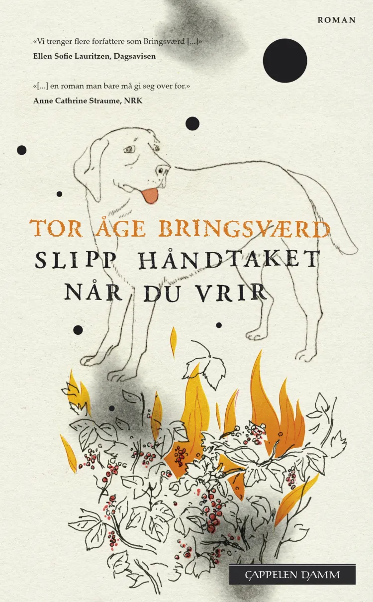 Omslag Slipp håndtaket når du vrir av Tor Åge Bringsværd (Heftet)