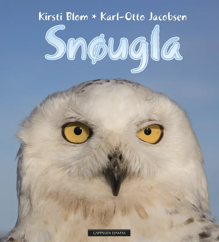 Omslag Snøugla av Kirsti Blom og Karl-Otto Jacobsen (Innbundet)
