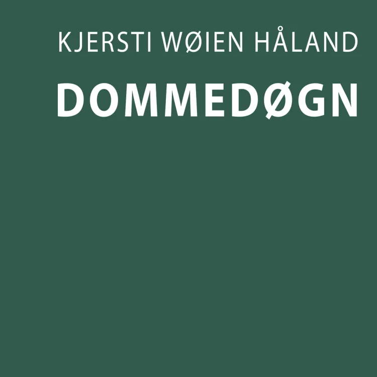Omslag Dommedøgn av Kjersti Wøien Håland (Lydbok)