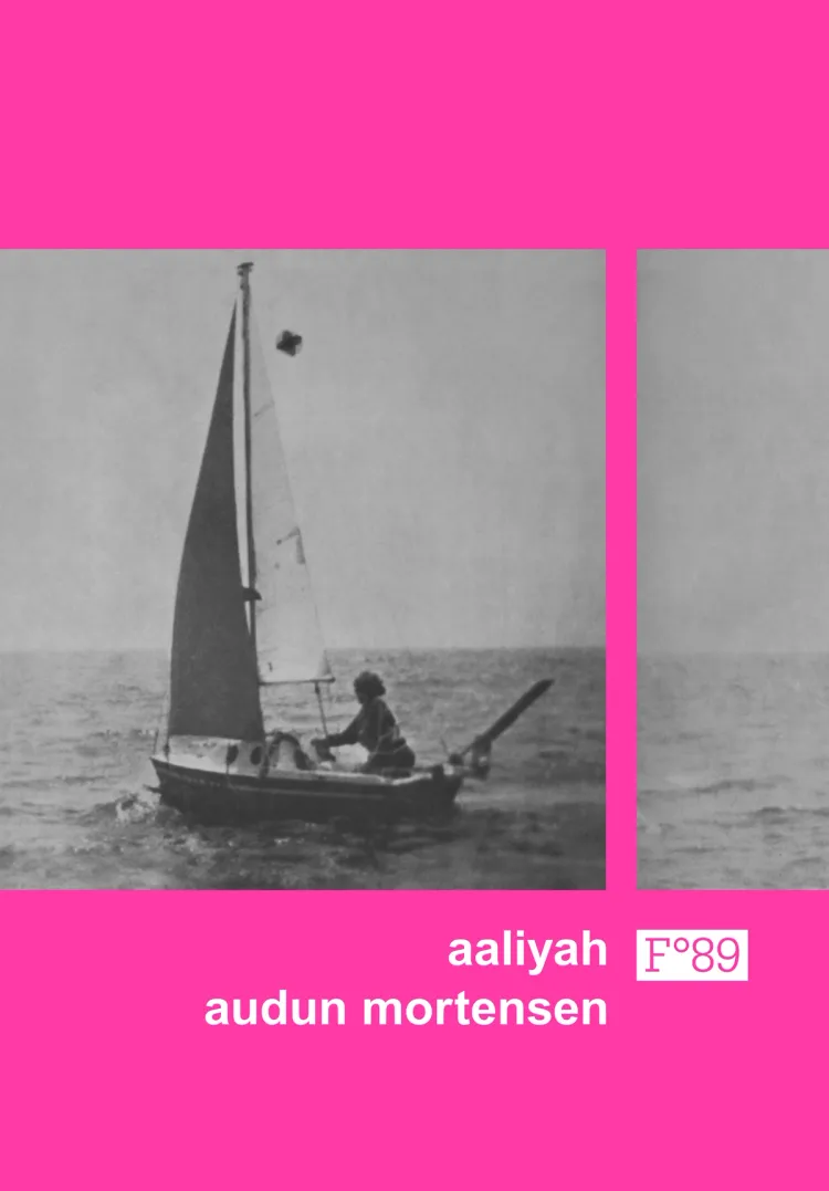 Omslag Aaliyah av Audun Mortensen (Innbundet)