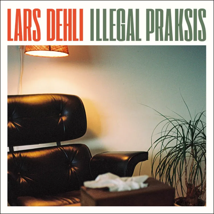 Omslag Illegal praksis av Lars Dehli (Lydbok)