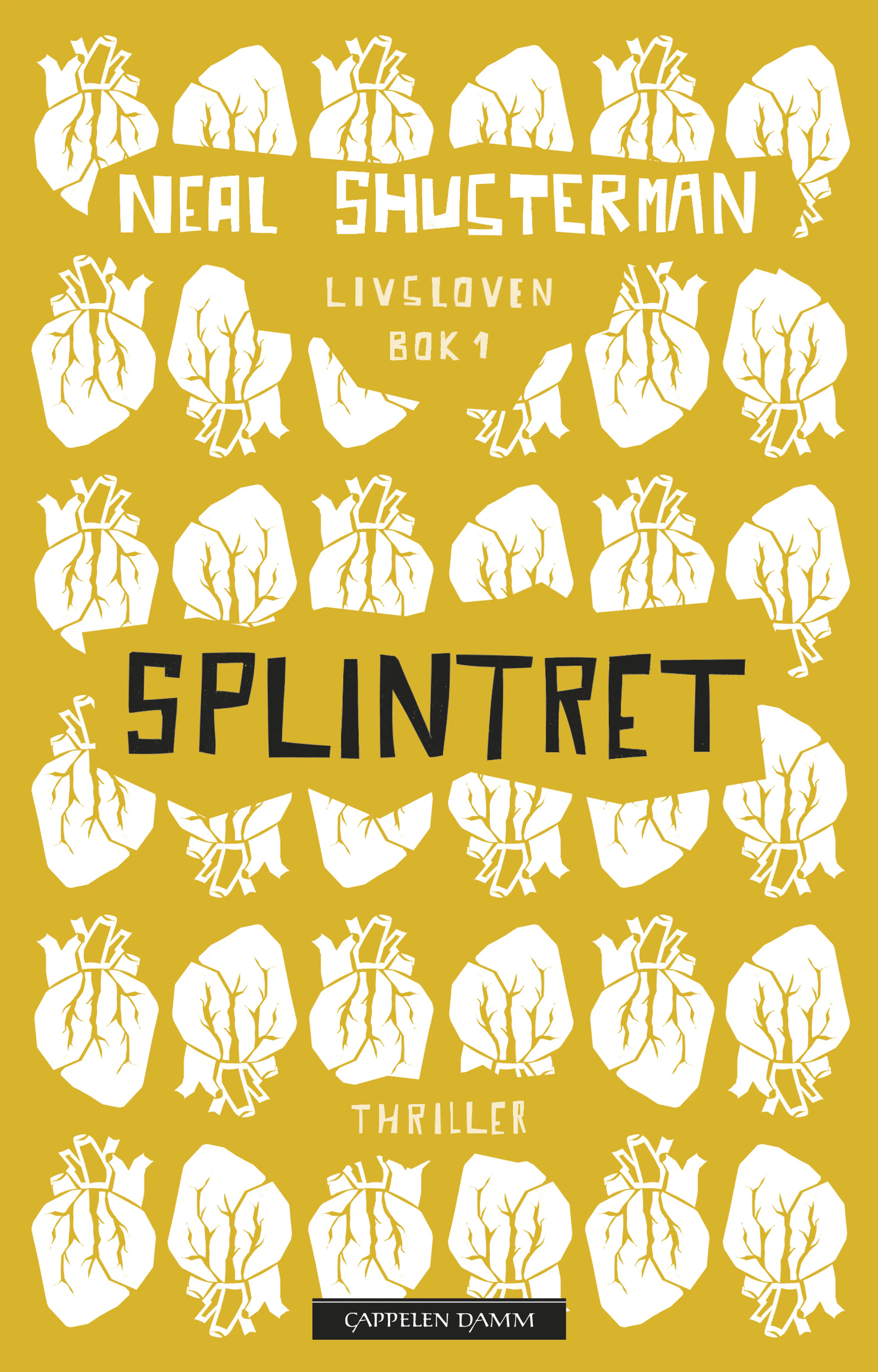 Omslag Splintret av Neal Shusterman (Ebok)