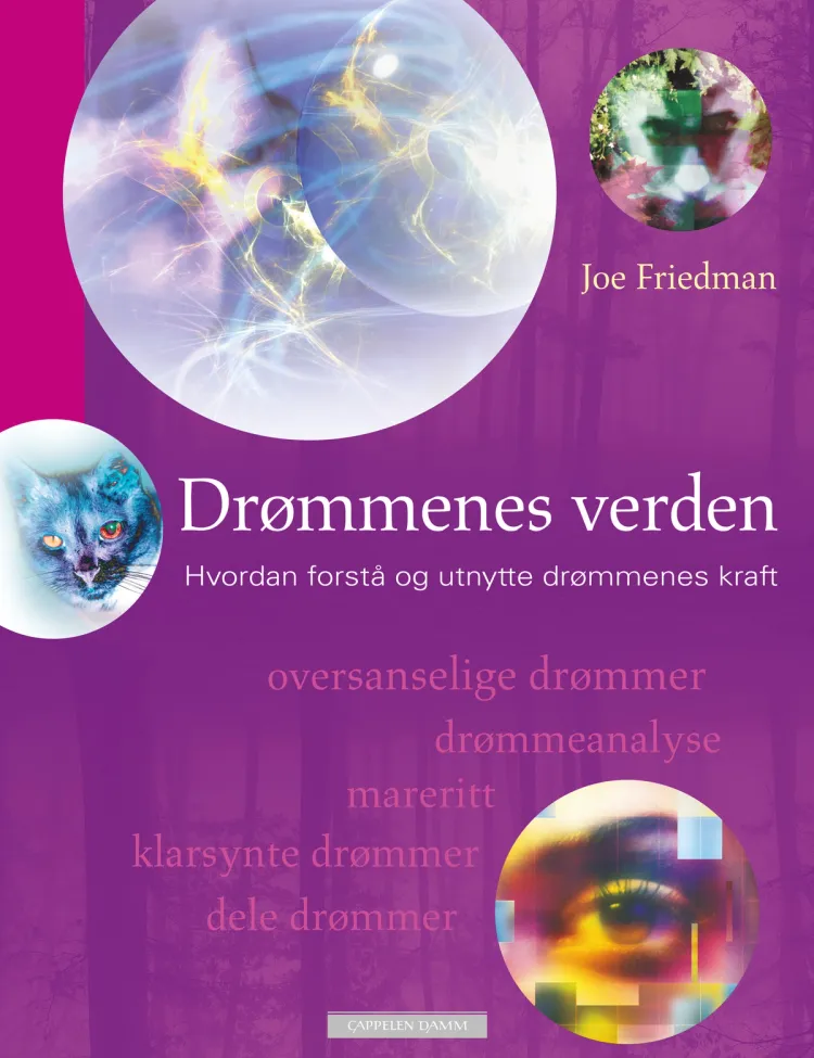 Omslag Drømmenes verden av Joe Friedman (Innbundet)