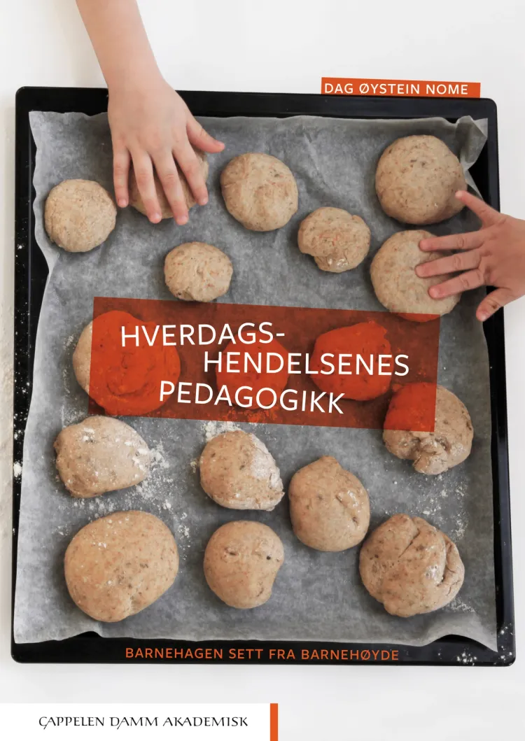 Omslag Hverdagshendelsenes pedagogikk av Dag Øystein Nome (Heftet)