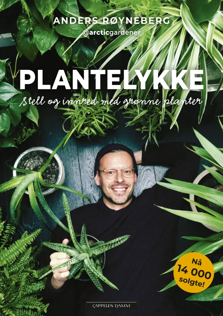 Omslag Plantelykke – Stell og innred med grønne planter av Anders Røyneberg (Innbundet)