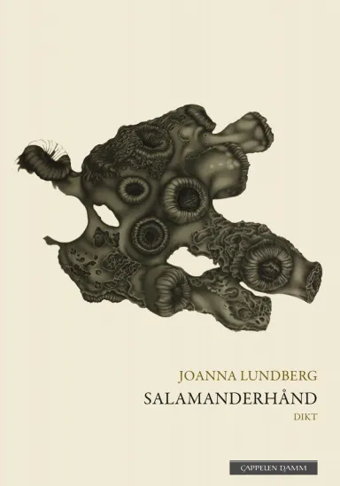Omslag Salamanderhånd av Joanna Lundberg (Ebok)
