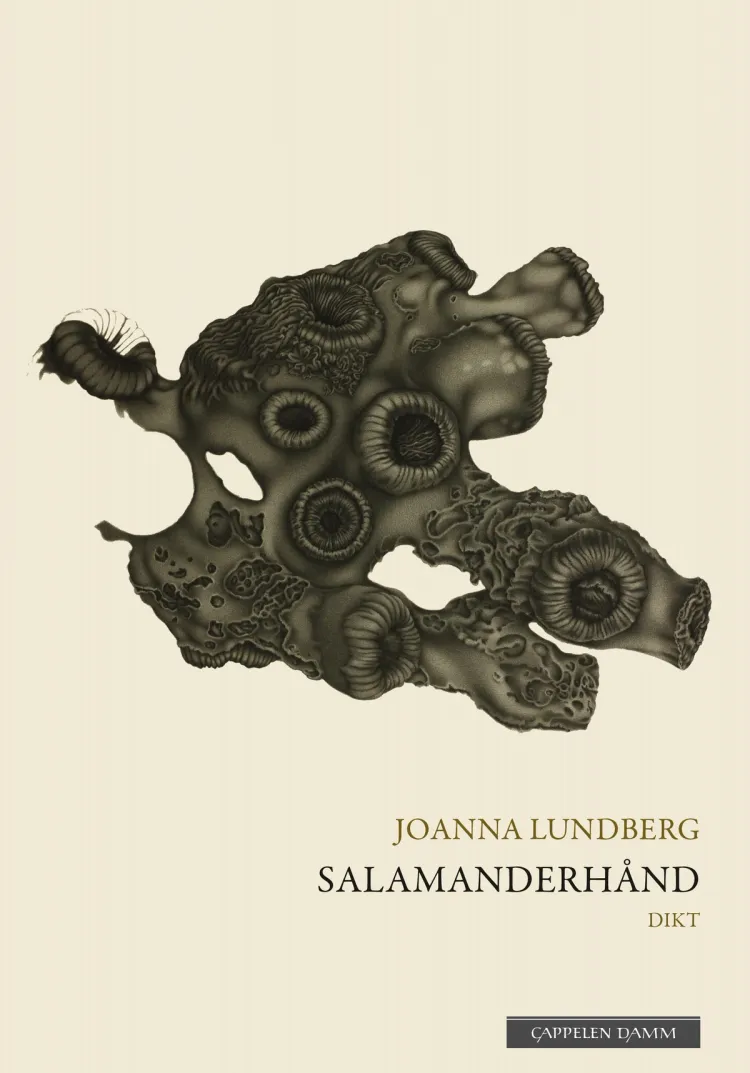 Omslag Salamanderhånd av Joanna Lundberg (Ebok)