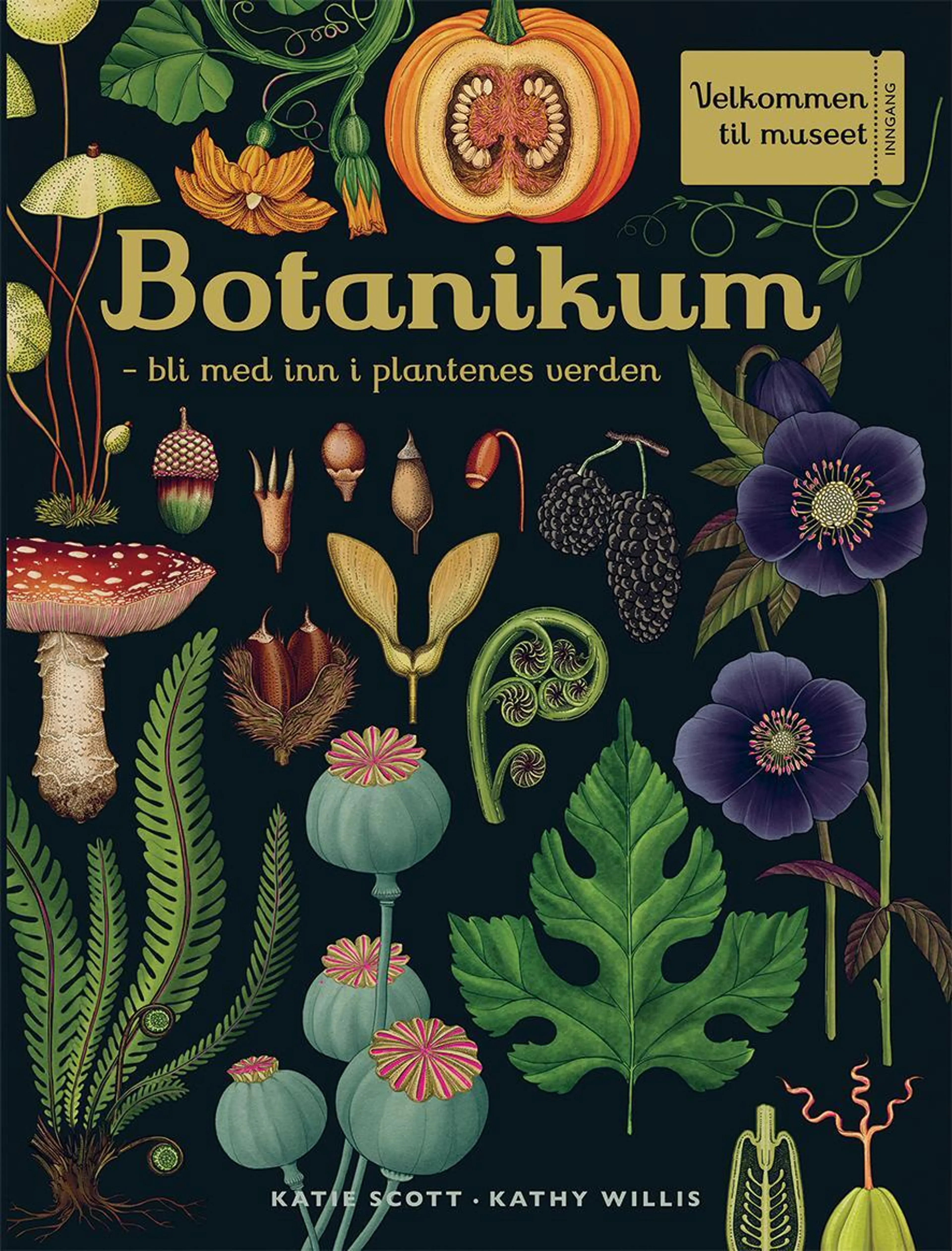 Omslag Botanikum av Kathy Willis (Innbundet)