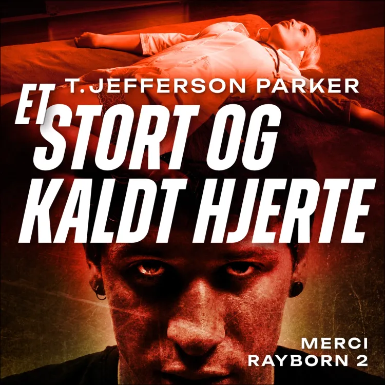 Omslag Et stort og kaldt hjerte av T. Jefferson Parker (Lydbok)