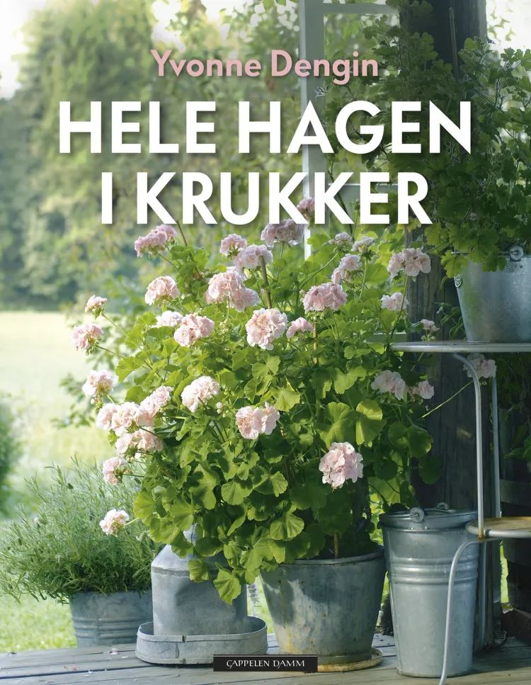 Omslag Hele hagen i krukker av Yvonne Dengin (Innbundet)