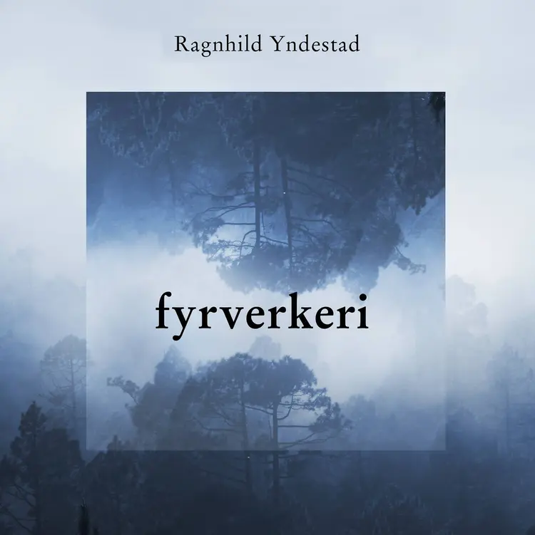 Omslag Fyrverkeri av Ragnhild Yndestad (Lydbok)