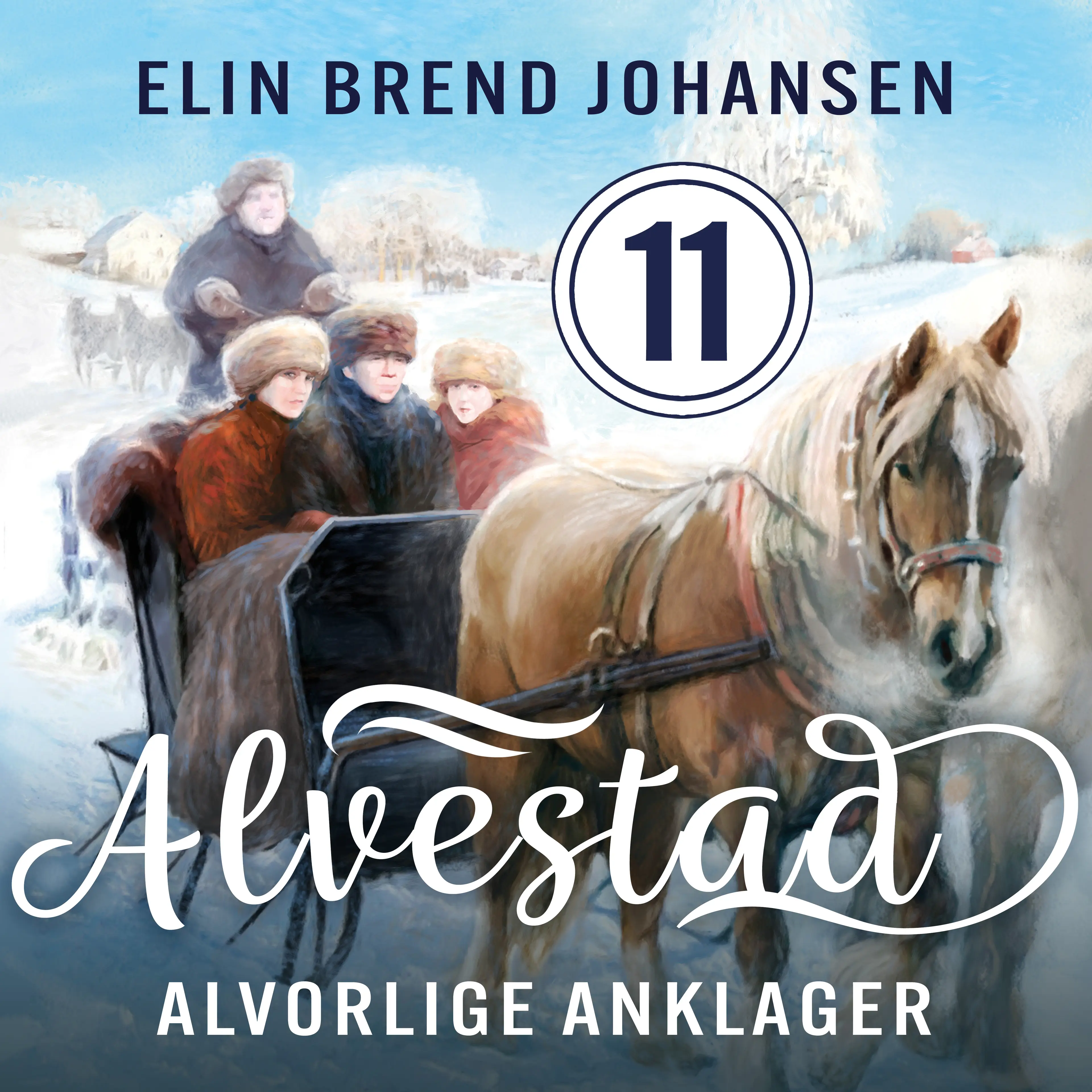 Omslag Alvorlige anklager av Elin Brend Johansen (Lydbok)