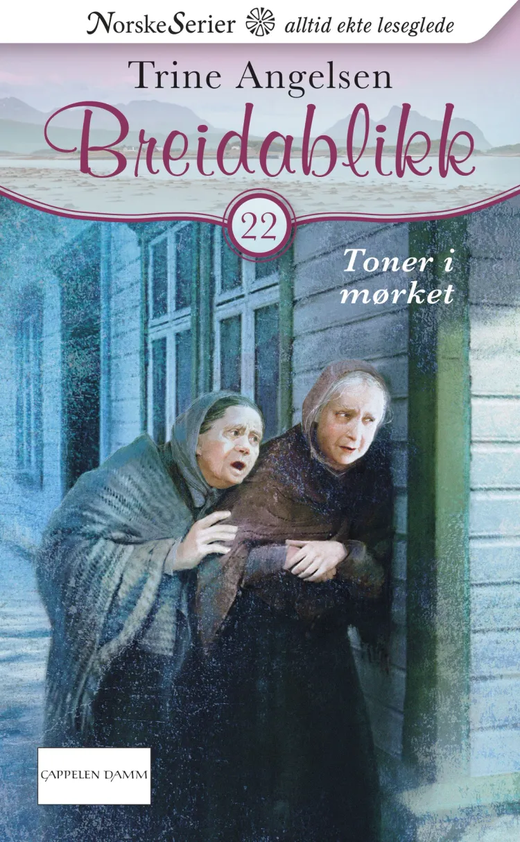 Omslag Toner i mørket av Trine Angelsen (Ebok)