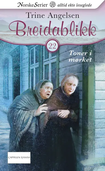 Omslag Toner i mørket av Trine Angelsen (Ebok)