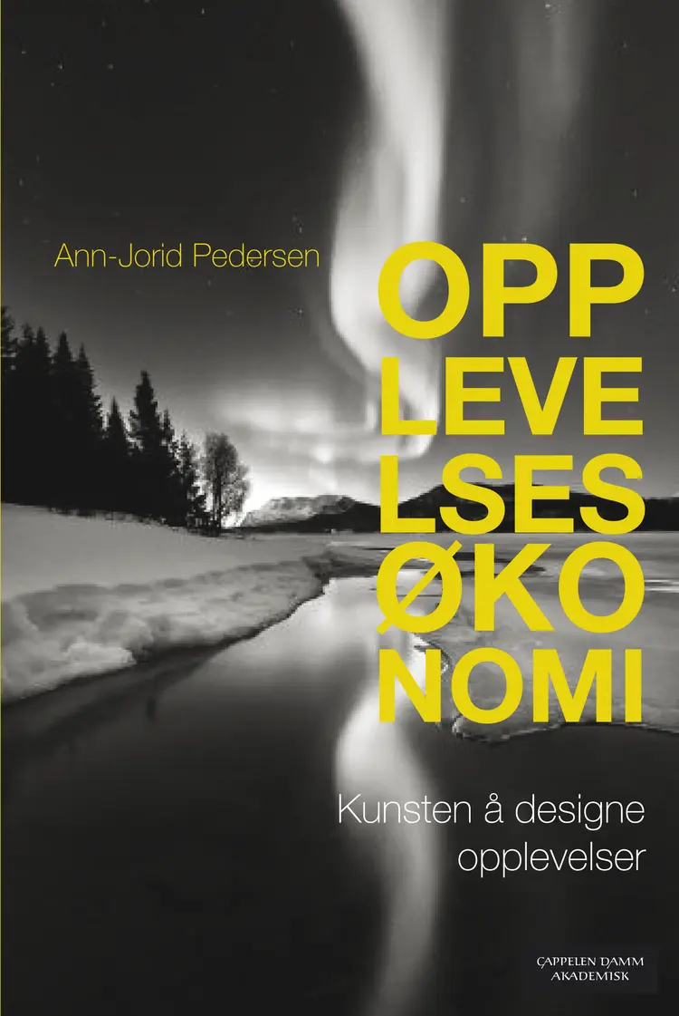 Omslag Opplevelsesøkonomi av Ann-Jorid Pedersen (Heftet)