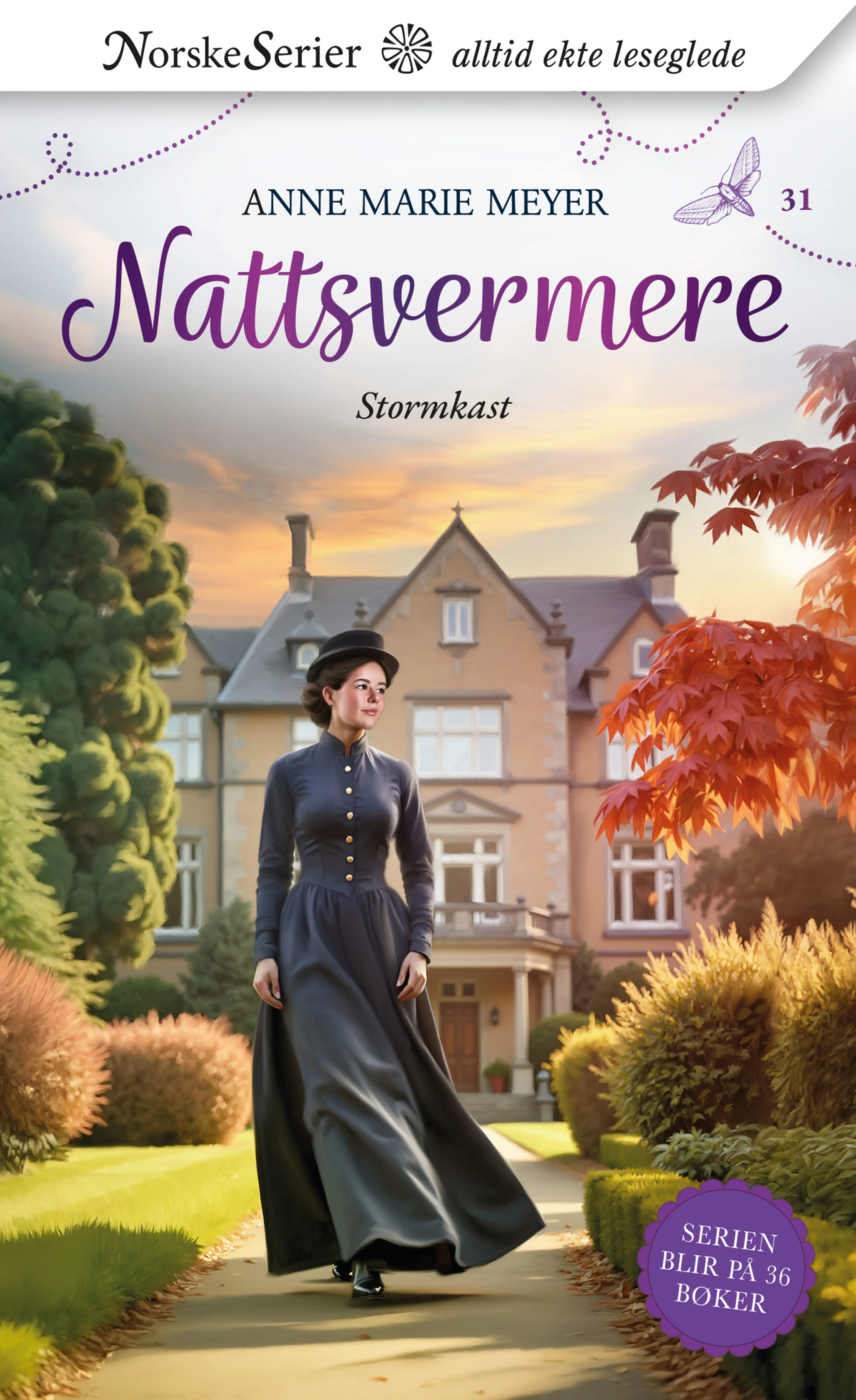 Omslag Stormkast av Anne Marie Meyer (Ebok)