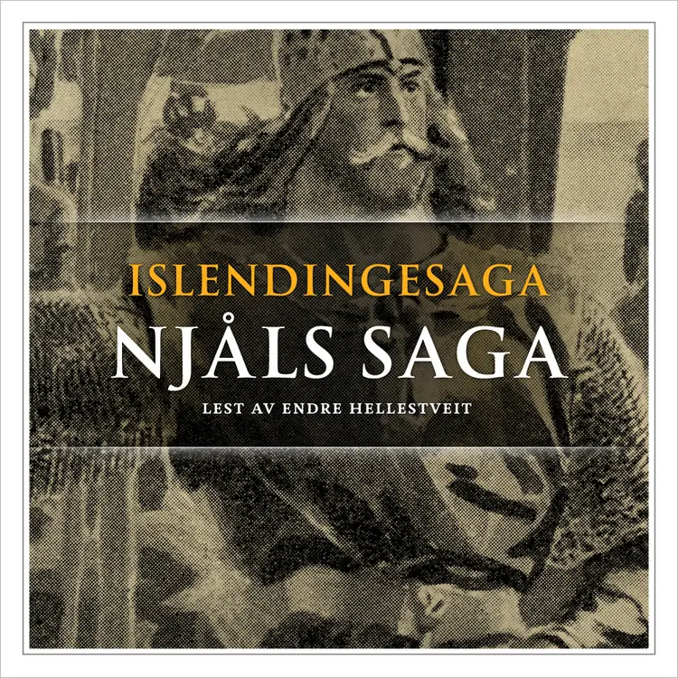 Omslag Njåls saga av Flere (Lydbok)