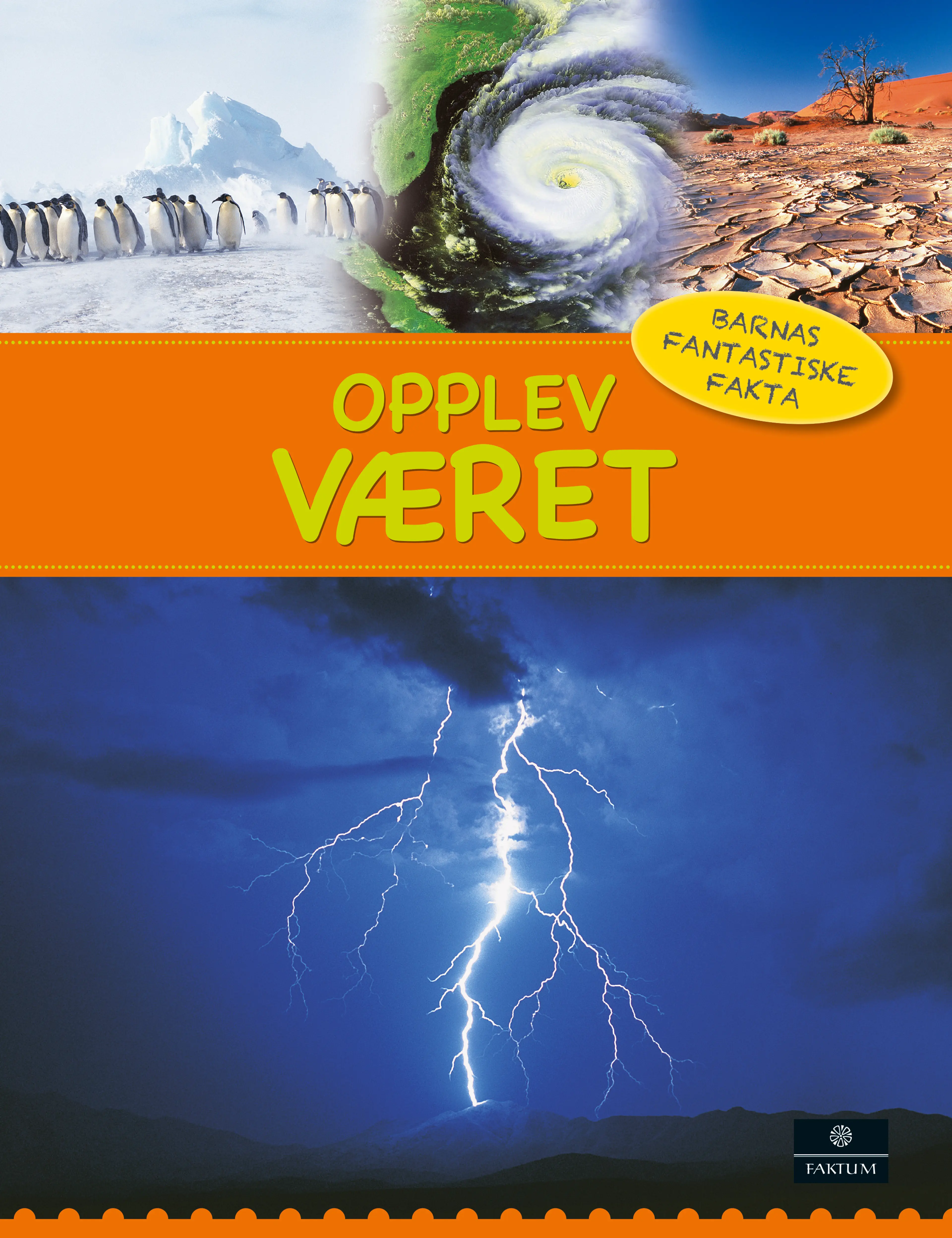 Omslag Opplev været av Lorrie Mack (Innbundet)