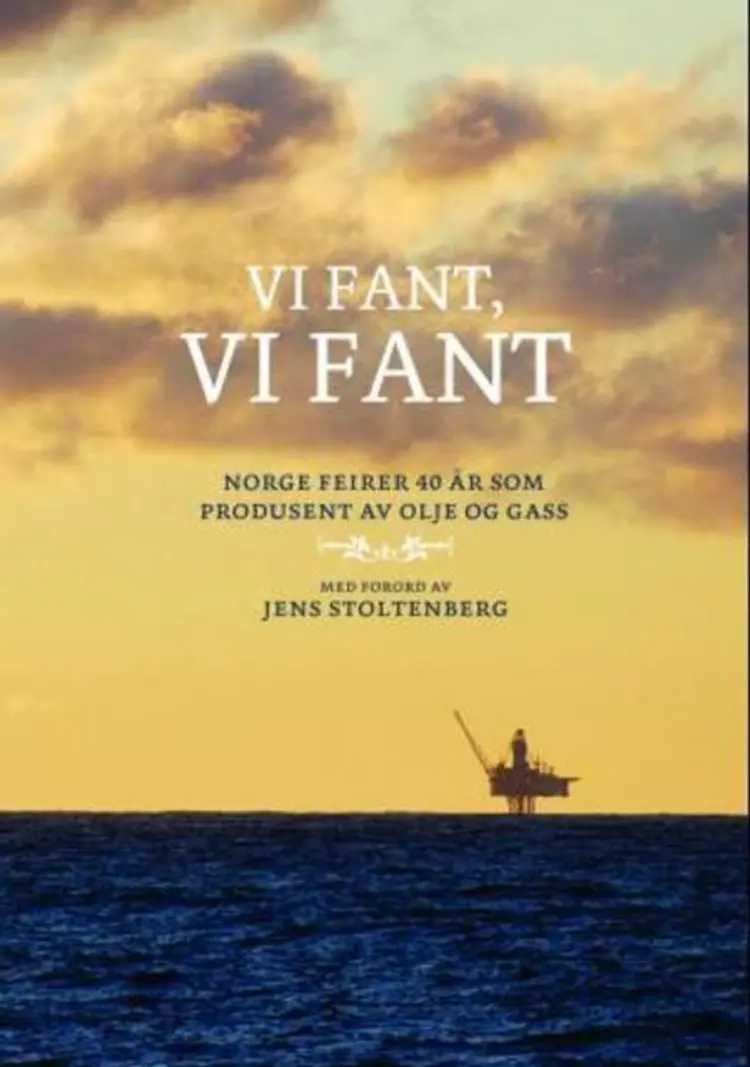Omslag Vi fant, vi fant av Kristin Bremer Nebben (Innbundet)