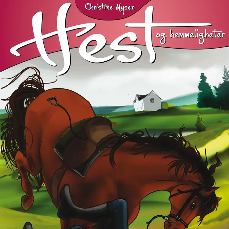 Omslag Ulykke av Christine Mysen (Lydbok)