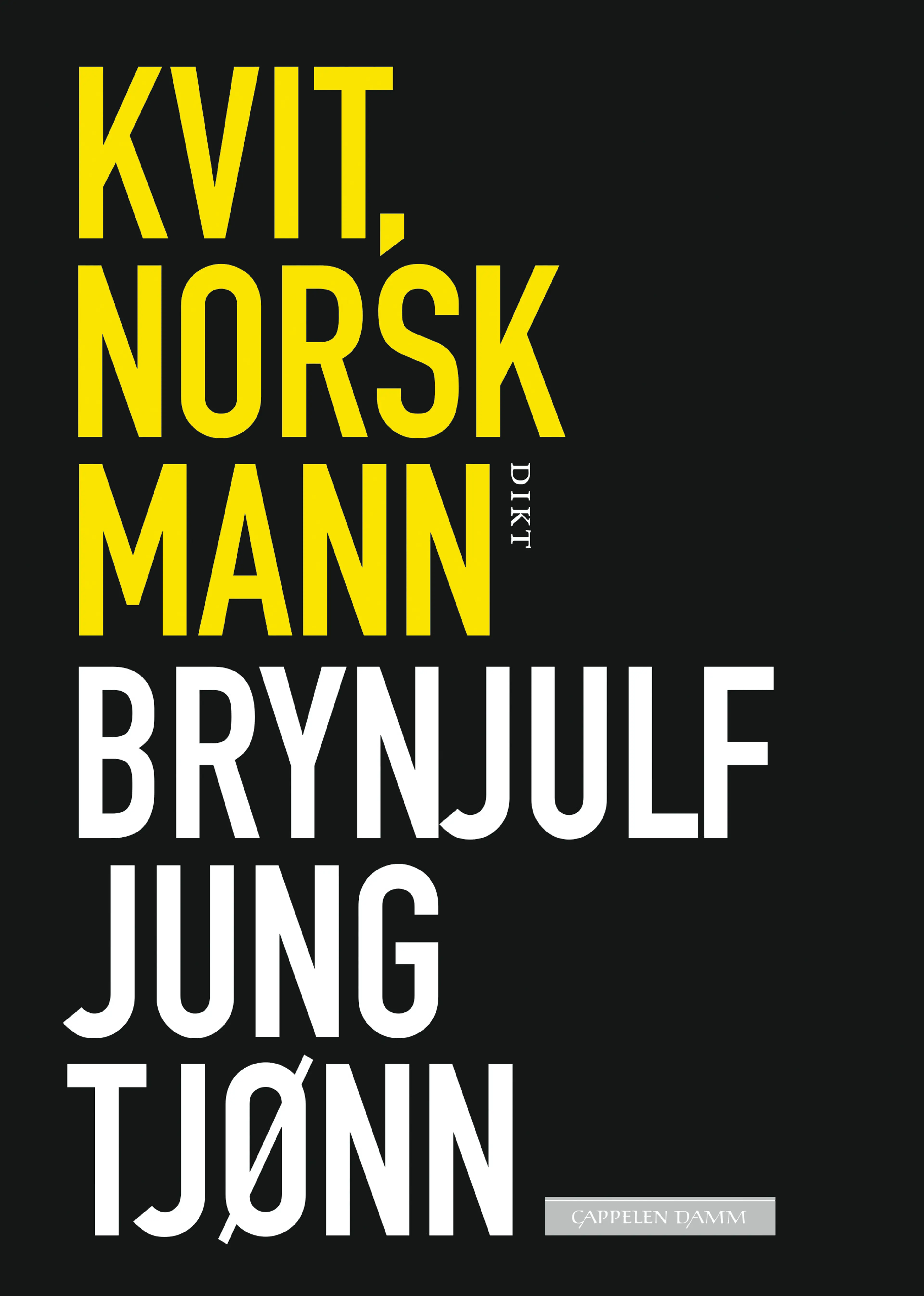 Omslag Kvit, norsk mann av Brynjulf Jung Tjønn (Ebok)