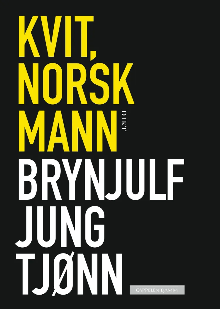 Omslag Kvit, norsk mann av Brynjulf Jung Tjønn (Ebok)
