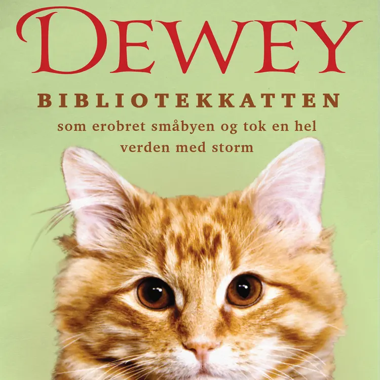 Omslag Dewey - Bibliotekkatten som erobret småbyen og tok en hel verden med storm av Vicki Myron (Lydbok)