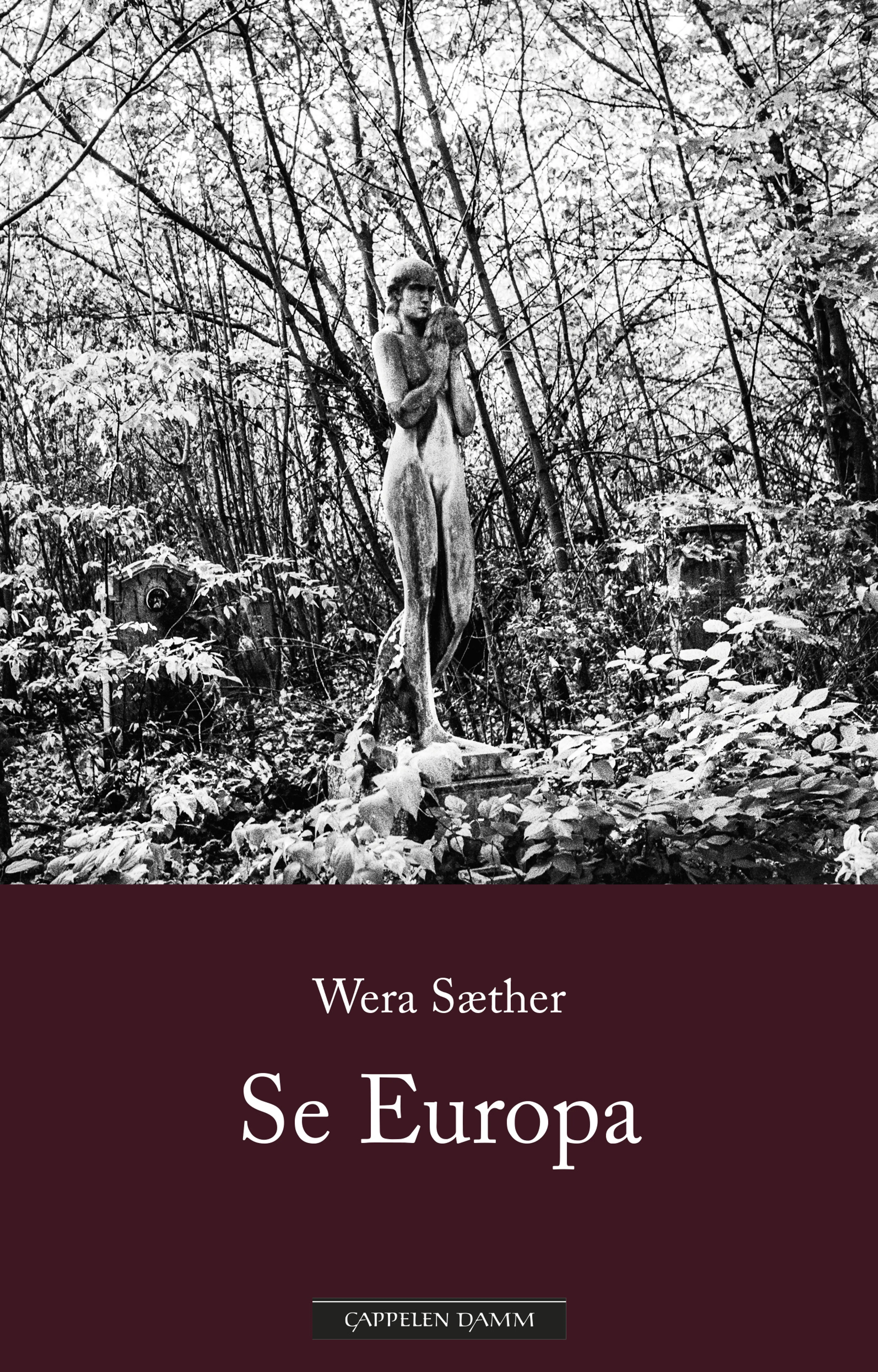 Omslag Se Europa av Wera Sæther (Ebok)